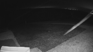 TJ Němčičky - Výstup z vleku - 15.12.2025 v 17:25 TJ Němčičky - Výstup z vleku - 15.12.2025 v 17:25