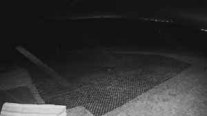 TJ Němčičky - Výstup z vleku - 15.12.2025 v 17:45 TJ Němčičky - Výstup z vleku - 15.12.2025 v 17:45