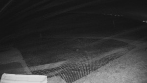 TJ Němčičky - Výstup z vleku - 15.12.2025 v 20:10 TJ Němčičky - Výstup z vleku - 15.12.2025 v 20:10