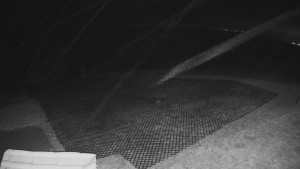 TJ Němčičky - Výstup z vleku - 15.12.2025 v 20:15 TJ Němčičky - Výstup z vleku - 15.12.2025 v 20:15