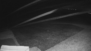 TJ Němčičky - Výstup z vleku - 15.12.2025 v 20:30 TJ Němčičky - Výstup z vleku - 15.12.2025 v 20:30