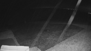 TJ Němčičky - Výstup z vleku - 15.12.2025 v 20:35 TJ Němčičky - Výstup z vleku - 15.12.2025 v 20:35