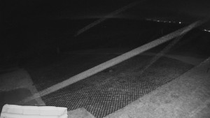 TJ Němčičky - Výstup z vleku - 15.12.2025 v 21:45 TJ Němčičky - Výstup z vleku - 15.12.2025 v 21:45