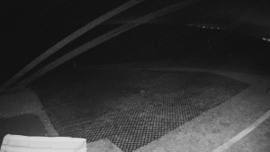 TJ Němčičky - Výstup z vleku - 15.12.2025 v 23:30 TJ Němčičky - Výstup z vleku - 15.12.2025 v 23:30