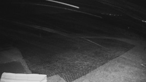 TJ Němčičky - Výstup z vleku - 24.12.2025 v 01:20 TJ Němčičky - Výstup z vleku - 24.12.2025 v 01:20