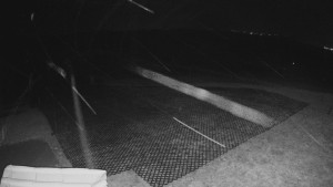 TJ Němčičky - Výstup z vleku - 24.12.2025 v 01:30 TJ Němčičky - Výstup z vleku - 24.12.2025 v 01:30