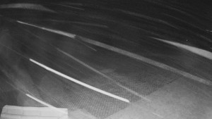 TJ Němčičky - Výstup z vleku - 24.12.2025 v 02:30 TJ Němčičky - Výstup z vleku - 24.12.2025 v 02:30