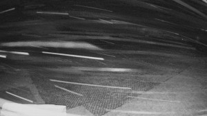 TJ Němčičky - Výstup z vleku - 24.12.2025 v 02:40 TJ Němčičky - Výstup z vleku - 24.12.2025 v 02:40