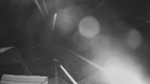 TJ Němčičky - Výstup z vleku - 24.12.2025 v 03:10 TJ Němčičky - Výstup z vleku - 24.12.2025 v 03:10