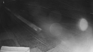 TJ Němčičky - Výstup z vleku - 24.12.2025 v 03:45 TJ Němčičky - Výstup z vleku - 24.12.2025 v 03:45