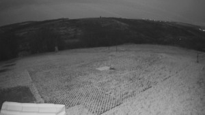 TJ Němčičky - Výstup z vleku - 24.12.2025 v 07:00 TJ Němčičky - Výstup z vleku - 24.12.2025 v 07:00