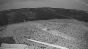 TJ Němčičky - Výstup z vleku - 24.12.2025 v 07:05 TJ Němčičky - Výstup z vleku - 24.12.2025 v 07:05