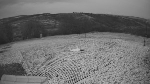 TJ Němčičky - Výstup z vleku - 24.12.2025 v 07:10 TJ Němčičky - Výstup z vleku - 24.12.2025 v 07:10