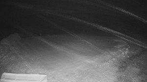 TJ Němčičky - Výstup z vleku - 29.1.2026 v 00:00 TJ Němčičky - Výstup z vleku - 29.1.2026 v 00:00