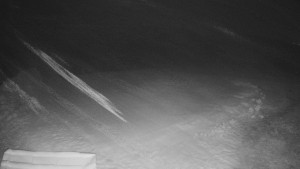 TJ Němčičky - Výstup z vleku - 29.1.2026 v 00:15 TJ Němčičky - Výstup z vleku - 29.1.2026 v 00:15