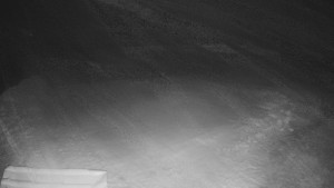 TJ Němčičky - Výstup z vleku - 29.1.2026 v 00:25 TJ Němčičky - Výstup z vleku - 29.1.2026 v 00:25