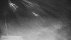 TJ Němčičky - Výstup z vleku - 29.1.2026 v 00:50 TJ Němčičky - Výstup z vleku - 29.1.2026 v 00:50