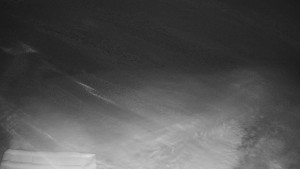 TJ Němčičky - Výstup z vleku - 29.1.2026 v 01:15 TJ Němčičky - Výstup z vleku - 29.1.2026 v 01:15