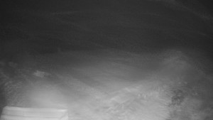 TJ Němčičky - Výstup z vleku - 29.1.2026 v 01:25 TJ Němčičky - Výstup z vleku - 29.1.2026 v 01:25