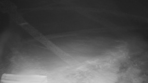 TJ Němčičky - Výstup z vleku - 29.1.2026 v 02:00 TJ Němčičky - Výstup z vleku - 29.1.2026 v 02:00