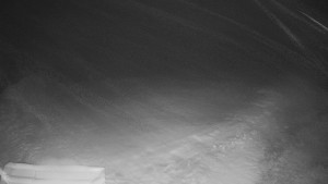 TJ Němčičky - Výstup z vleku - 29.1.2026 v 02:45 TJ Němčičky - Výstup z vleku - 29.1.2026 v 02:45