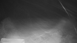 TJ Němčičky - Výstup z vleku - 29.1.2026 v 03:05 TJ Němčičky - Výstup z vleku - 29.1.2026 v 03:05