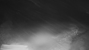 TJ Němčičky - Výstup z vleku - 29.1.2026 v 05:40 TJ Němčičky - Výstup z vleku - 29.1.2026 v 05:40