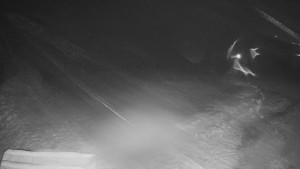 TJ Němčičky - Výstup z vleku - 29.1.2026 v 06:05 TJ Němčičky - Výstup z vleku - 29.1.2026 v 06:05