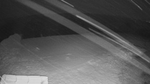 TJ Němčičky - Výstup z vleku - 29.1.2026 v 17:50 TJ Němčičky - Výstup z vleku - 29.1.2026 v 17:50