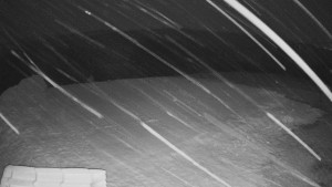 TJ Němčičky - Výstup z vleku - 29.1.2026 v 18:00 TJ Němčičky - Výstup z vleku - 29.1.2026 v 18:00