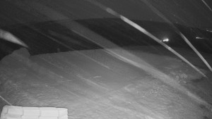 TJ Němčičky - Výstup z vleku - 29.1.2026 v 18:40 TJ Němčičky - Výstup z vleku - 29.1.2026 v 18:40