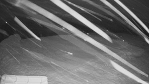 TJ Němčičky - Výstup z vleku - 29.1.2026 v 19:45 TJ Němčičky - Výstup z vleku - 29.1.2026 v 19:45