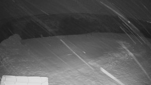 TJ Němčičky - Výstup z vleku - 30.1.2026 v 01:30 TJ Němčičky - Výstup z vleku - 30.1.2026 v 01:30