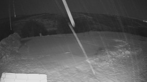 TJ Němčičky - Výstup z vleku - 30.1.2026 v 02:50 TJ Němčičky - Výstup z vleku - 30.1.2026 v 02:50