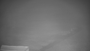 TJ Němčičky - Výstup z vleku - 23.2.2026 v 00:00 TJ Němčičky - Výstup z vleku - 23.2.2026 v 00:00