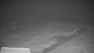 TJ Němčičky - Výstup z vleku - 23.2.2026 v 00:35 TJ Němčičky - Výstup z vleku - 23.2.2026 v 00:35