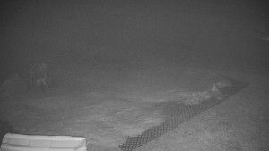 TJ Němčičky - Výstup z vleku - 23.2.2026 v 00:50 TJ Němčičky - Výstup z vleku - 23.2.2026 v 00:50