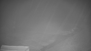 TJ Němčičky - Výstup z vleku - 23.2.2026 v 01:00 TJ Němčičky - Výstup z vleku - 23.2.2026 v 01:00