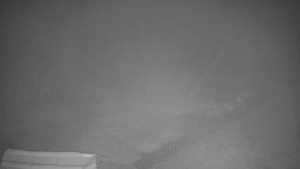 TJ Němčičky - Výstup z vleku - 23.2.2026 v 01:15 TJ Němčičky - Výstup z vleku - 23.2.2026 v 01:15