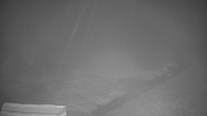 TJ Němčičky - Výstup z vleku - 23.2.2026 v 01:30 TJ Němčičky - Výstup z vleku - 23.2.2026 v 01:30