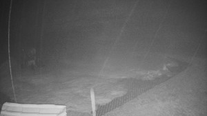 TJ Němčičky - Výstup z vleku - 23.2.2026 v 01:35 TJ Němčičky - Výstup z vleku - 23.2.2026 v 01:35