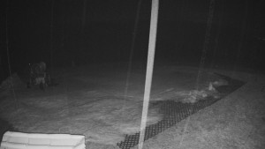 TJ Němčičky - Výstup z vleku - 23.2.2026 v 01:45 TJ Němčičky - Výstup z vleku - 23.2.2026 v 01:45