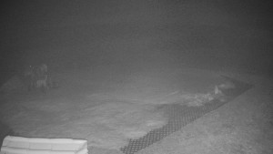 TJ Němčičky - Výstup z vleku - 23.2.2026 v 02:00 TJ Němčičky - Výstup z vleku - 23.2.2026 v 02:00