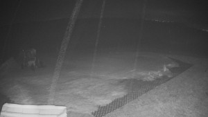 TJ Němčičky - Výstup z vleku - 23.2.2026 v 02:10 TJ Němčičky - Výstup z vleku - 23.2.2026 v 02:10