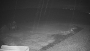 TJ Němčičky - Výstup z vleku - 23.2.2026 v 02:15 TJ Němčičky - Výstup z vleku - 23.2.2026 v 02:15