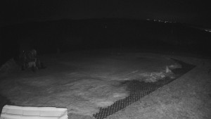 TJ Němčičky - Výstup z vleku - 23.2.2026 v 02:25 TJ Němčičky - Výstup z vleku - 23.2.2026 v 02:25