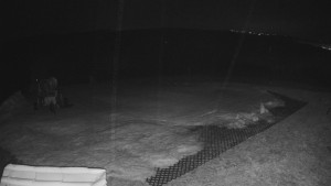 TJ Němčičky - Výstup z vleku - 23.2.2026 v 02:30 TJ Němčičky - Výstup z vleku - 23.2.2026 v 02:30