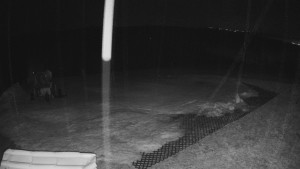 TJ Němčičky - Výstup z vleku - 23.2.2026 v 02:35 TJ Němčičky - Výstup z vleku - 23.2.2026 v 02:35