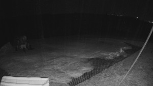 TJ Němčičky - Výstup z vleku - 23.2.2026 v 02:45 TJ Němčičky - Výstup z vleku - 23.2.2026 v 02:45