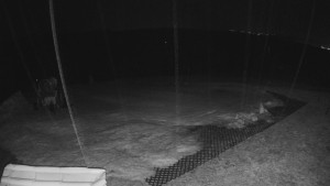 TJ Němčičky - Výstup z vleku - 23.2.2026 v 03:15 TJ Němčičky - Výstup z vleku - 23.2.2026 v 03:15